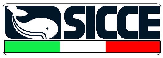 SICCE