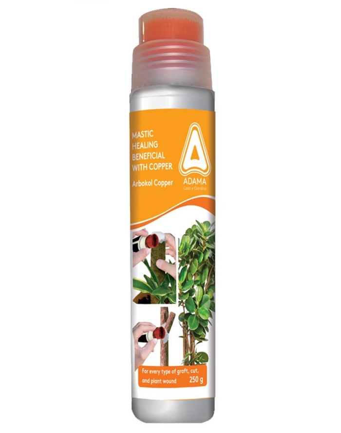 Arbokol Μαστίχα Eμβολιασμού 250 g με πινέλο