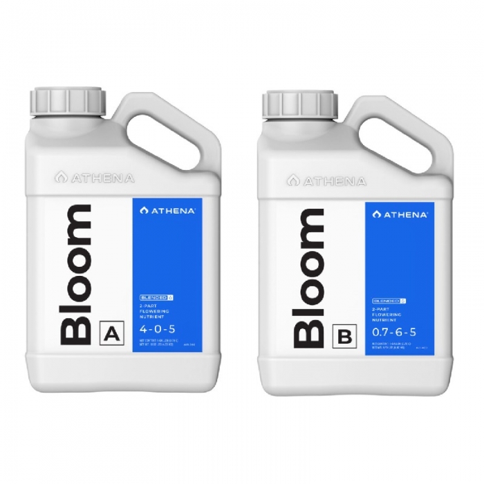 Athena Bloom A+Β 1lit