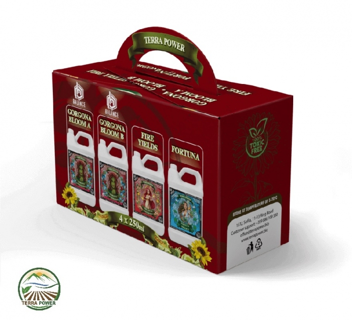 BLOOM BUNDLE (RED BOX 4 Pcs) 250 ml