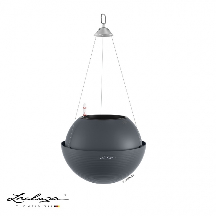 BOLA Color 23 slate