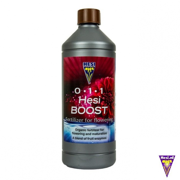 Boost 500ml