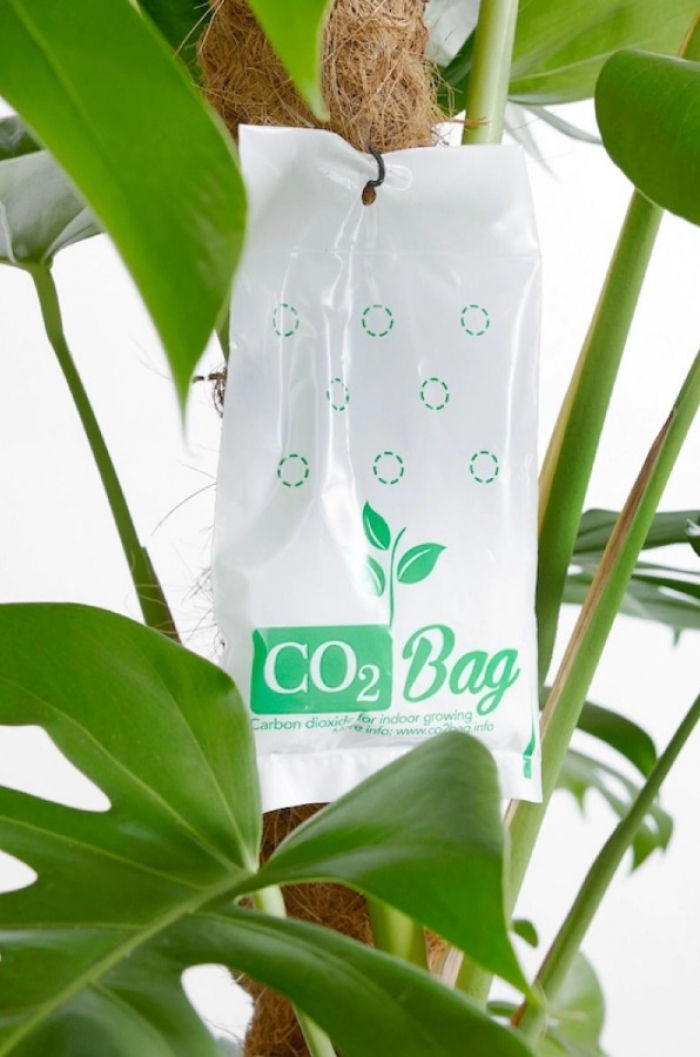 CO² Bag 100gr