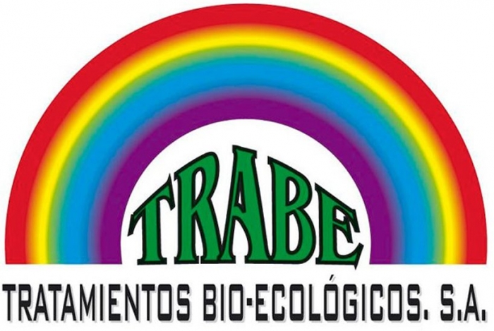 Trabe