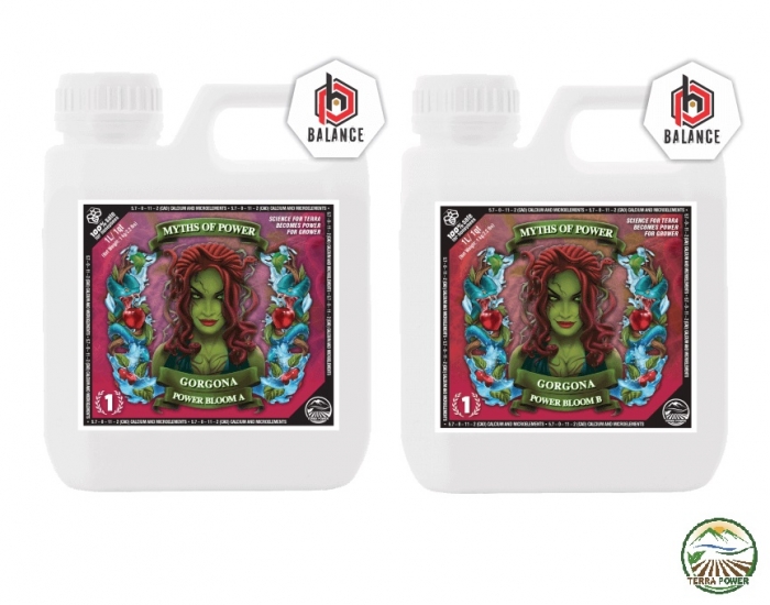 Gorgona – Power Bloom A&B 1lit