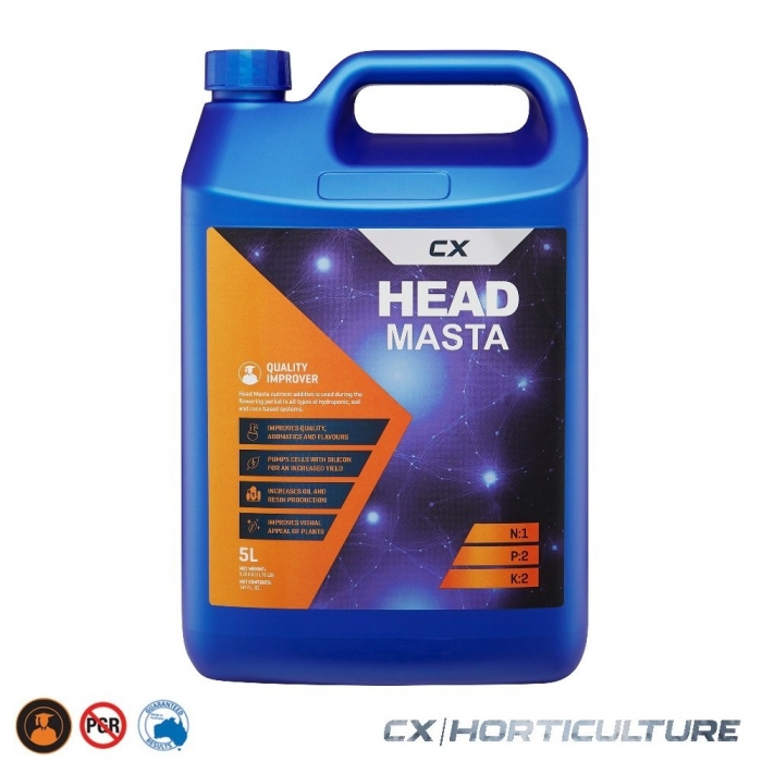 Head Masta 5lit
