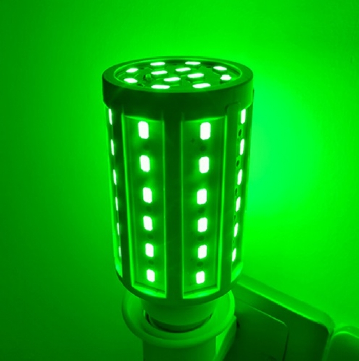 Λαμπτήρας Νυκτός LED Ε27 Green Light 12W