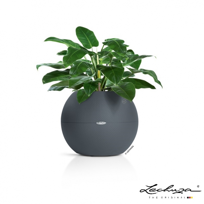 LECHUZA-PURO Color 50 slate