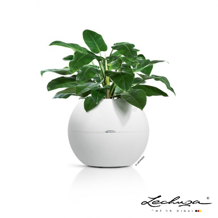 LECHUZA-PURO Color 50 white