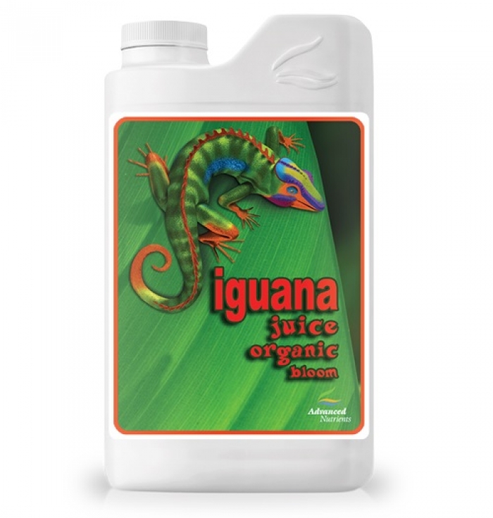 OG Organics Iguana Juice Bloom 500ml