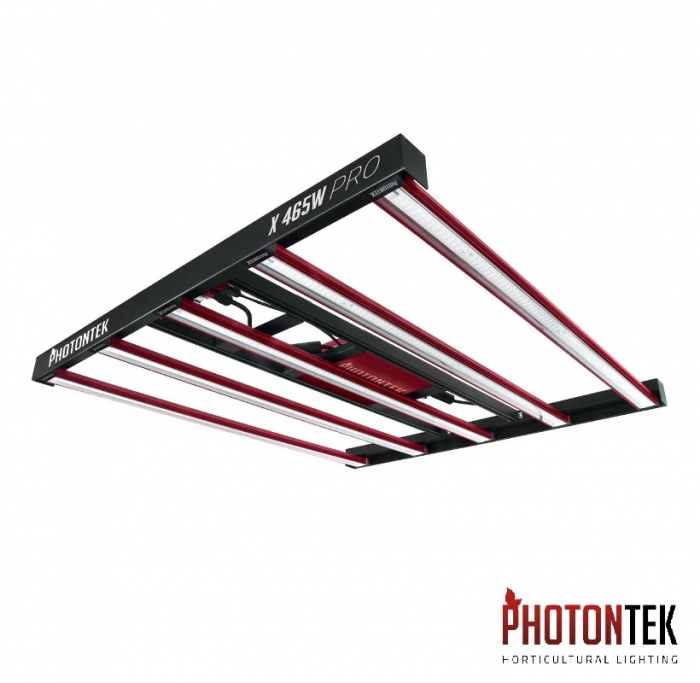 P-TEK X 465W PRO 2.9 LED