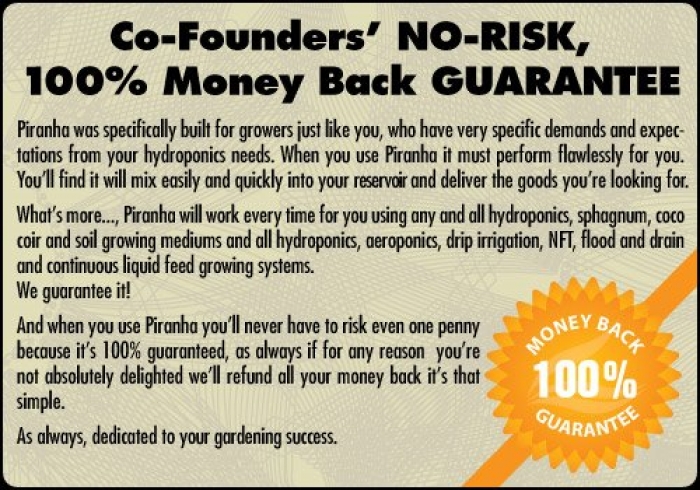 Piranha 500ml