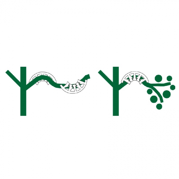 PLANT BENDS - PACK OF 50
