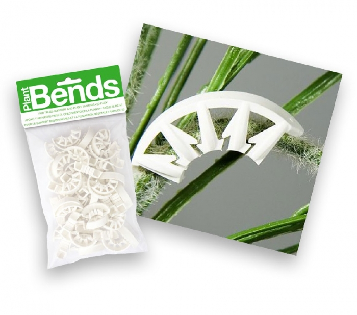 PLANT BENDS - PACK OF 50