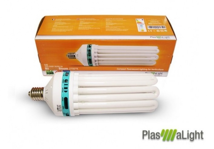 PlasmaLight CFL 85w 2700K