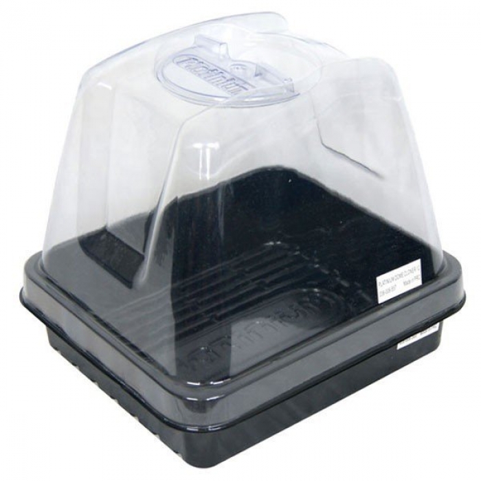 Platinium Small Propagator (24x21x22cm)