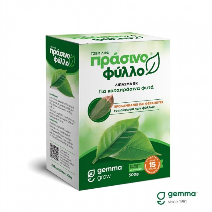 Πράσινο φύλλο 500g