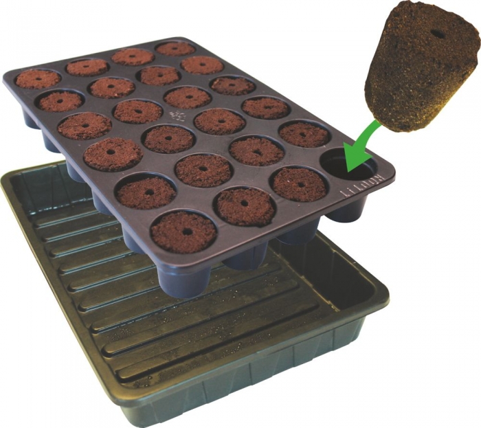 ROOT!T Natural Rooting Sponges 24 Cell Filled Trays