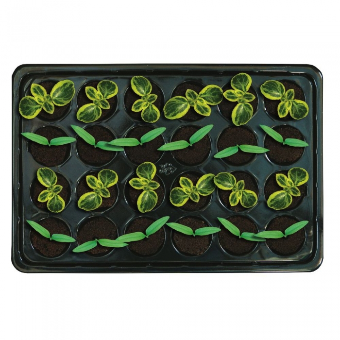 ROOT!T Natural Rooting Sponges 24 Cell Filled Trays