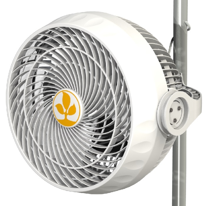 Secret Jardin - Monkey Fan 30cm - 30w