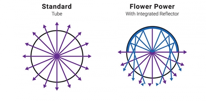 Solacure Flower Power UVR8 100cm Kit