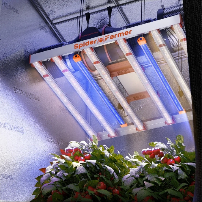 Spider Farmer UV30 Supplemental 365nm LED Grow Light