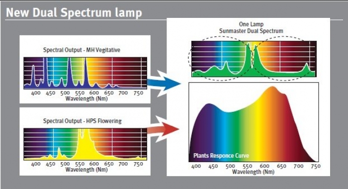 SunMaster Dual Spectrum 250w