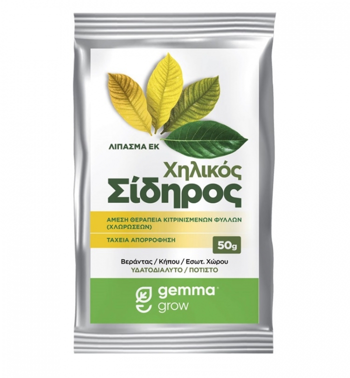 Super Green Χηλικός Σίδηρος σκόνη 50 g