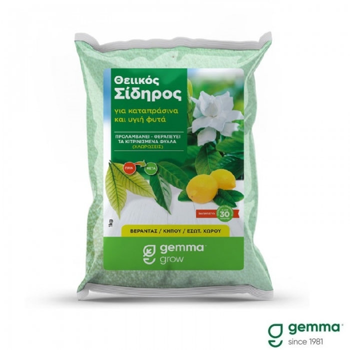Θειικός σίδηρος 2Kg