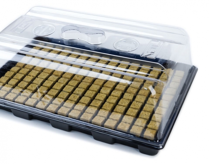 VDL Medium Propagator (59x39x21cm)