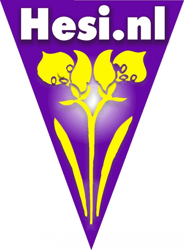 Hesi