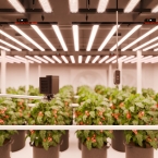 2025 Spider Farmer SensorPro CO² Kits