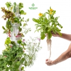 AEROPONICS TOWER FOR VERTICAL FARMING OF 50 PLANTS