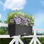 Άγκιστρα Balconera CLASSIC black