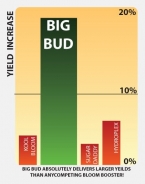 Big Bud 250ml