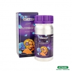 BloomBastic 325ml