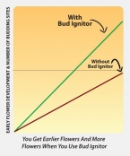 Bud Ignitor 1lit