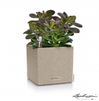 CANTO Stone 14 sand beige