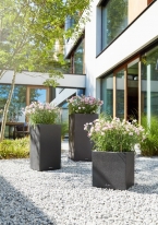 CANTO Stone 30 high graphite black