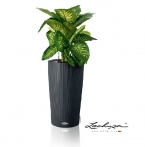 LECHUZA-CILINDRO Color 23 slate
