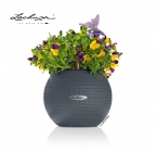 LECHUZA-PURO Color 20 slate