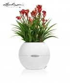 LECHUZA-PURO Color 20 white