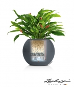 LECHUZA-PURO Color 50 slate