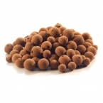 Plagron Euro Pebbles 10lit