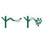 PLANT BENDS - PACK OF 50