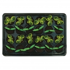 ROOT!T Natural Rooting Sponges 24 Cell Filled Trays