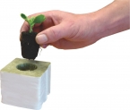 ROOT!T Natural Rooting Sponges 50 Refill Bag