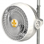 Secret Jardin - Monkey Fan 30cm - 30w