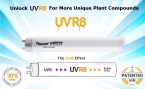 Solacure Flower Power UVR8 100cm Kit