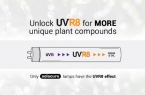 Solacure Flower Power UVR8 120cm Kit